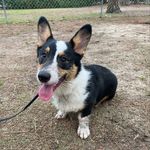 Sven - @sven__johnson_ - Instagram