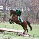 Sven  Wolf - @svenwolf5684 - Instagram