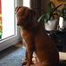 Sven Wolf - Facebook