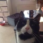 Svend Hansen - @svendj1hotmail.com_ - Instagram