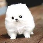 swara sheth - @swarasheth71 - Instagram