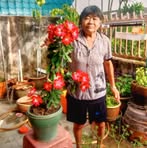 Swee Wong - Facebook