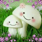 SY White - Facebook