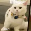 sywhitesa - @sywhitesa - TikTok
