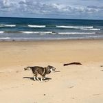 Sybil Avery - @gypsy.at.the.beach - Instagram