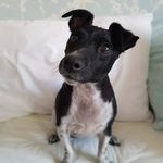 Sybil Bell (She/Her) - @sybilinlondon - Instagram