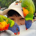 Sibyl Cheng - Facebook