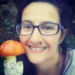 cat - @sybilgray11 - Instagram