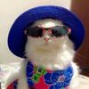Syble Higgins - @syblehiggins354 - TikTok