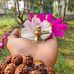Sybil John - Facebook