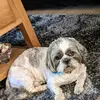 sybilking62 - @sybilking62 - TikTok