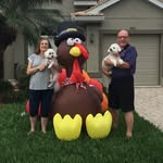 Sybil Porter - @sybil1675 - Instagram