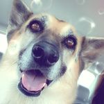 Sybil N Denim Roberts - @sybillove - Instagram