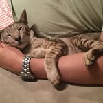 Denise Shaw - @sybil_shaw - Instagram