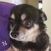 Sybil Stanton - Facebook