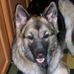 Sybil Stanton - Facebook
