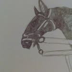 Sydnee Davis - @art_drawings_equestrian - Instagram