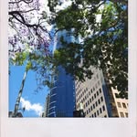 Sydney - @sydney_barlowwmj1 - Instagram