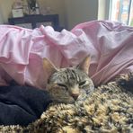 Sydney Bean - Facebook