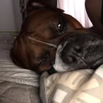 Sydney Bean Walters - @sydney_bean_walters - Instagram