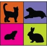 Sydney Pet Boarding - @sydneypetboarding - Instagram