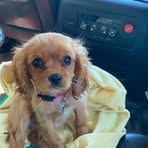 Sydney Bowen - Facebook