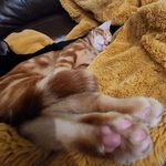 sydney bui - @spitneybui - Instagram