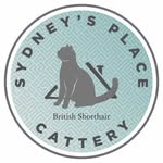 SYDNEY'S PLACE CATTERY - @sydneys_place_cattery - Instagram