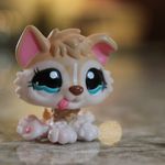 Sydney Christopher - @lps_sparkle_photography - Instagram