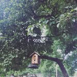 Sydney Lynn Cobb - @natures_photographs_ - Instagram