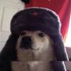 Sydney Coffey - @fr3nzyplayz - TikTok