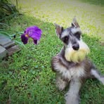 Sidney Coniglio - Facebook
