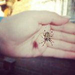 Sydney Connolly - @sydneyconnolly6 - Instagram