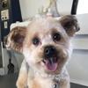 Sydney Connolly - @thegreatgatsby._ - TikTok