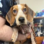 Texas Sydney Connolly - @texas_cinema - Instagram