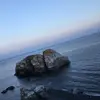 Sydney Connors - @sydneyconnors33037 - TikTok