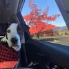 sydney coyne - @sydney.coyne - TikTok