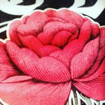 Sydney Crabtree - @crabtree_sydney - Instagram