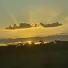 crumb - @sydney.craines - TikTok