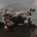 Sydney - @sydney.criswell_ - Instagram