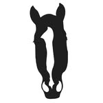 Sydney Croasmun - @scequinegraphics - Instagram