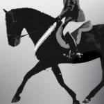 Sydney Croasmun - @equitationinmotion - Instagram