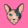 sydneycrouch4 - @sydneycrouch4 - TikTok