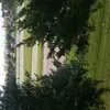 Sydney Crowe - @sydney.326 - TikTok