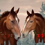 Sydney Crowley - @caymaniteeq - Instagram