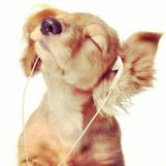 Sydney Culp - @sydculp1221 - Instagram