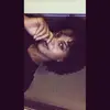 Sydney Curtis - @sydneycurtis - TikTok