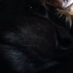 Sydney Custer - @sydneycuster11 - Instagram