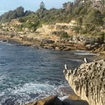 🏄‍♀️🌊🦋🌞🌻🐾☘️ - @sydney_____daily - Instagram