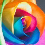 Sydney Dalton - @loafofbread123 - Instagram